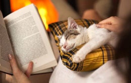 Woman reading by the fire and comforting her rescue kitten - purrfect evening relaxation