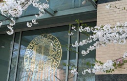Cherry blossoms in front of the UCDC building