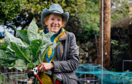 Woman wearing blue hat holding colorful bunch of swiss chard