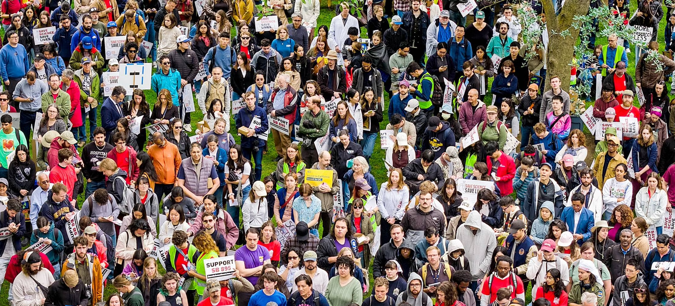 UC faculty and staff rally for state investment in science