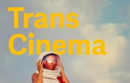 Trans Cinema book cover
