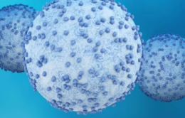 Pancreatic cancer cells