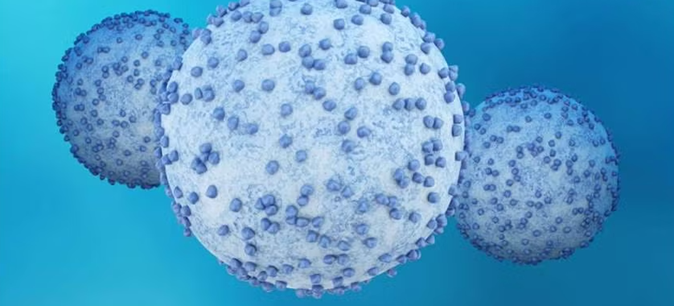 Experimental drug for pancreatic cancer based on UC research offers new hope