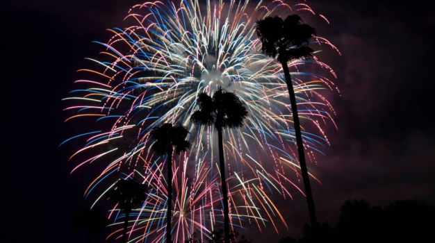Fireworks in California with palm tress in the foreground