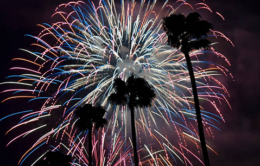 Fireworks in California with palm tress in the foreground