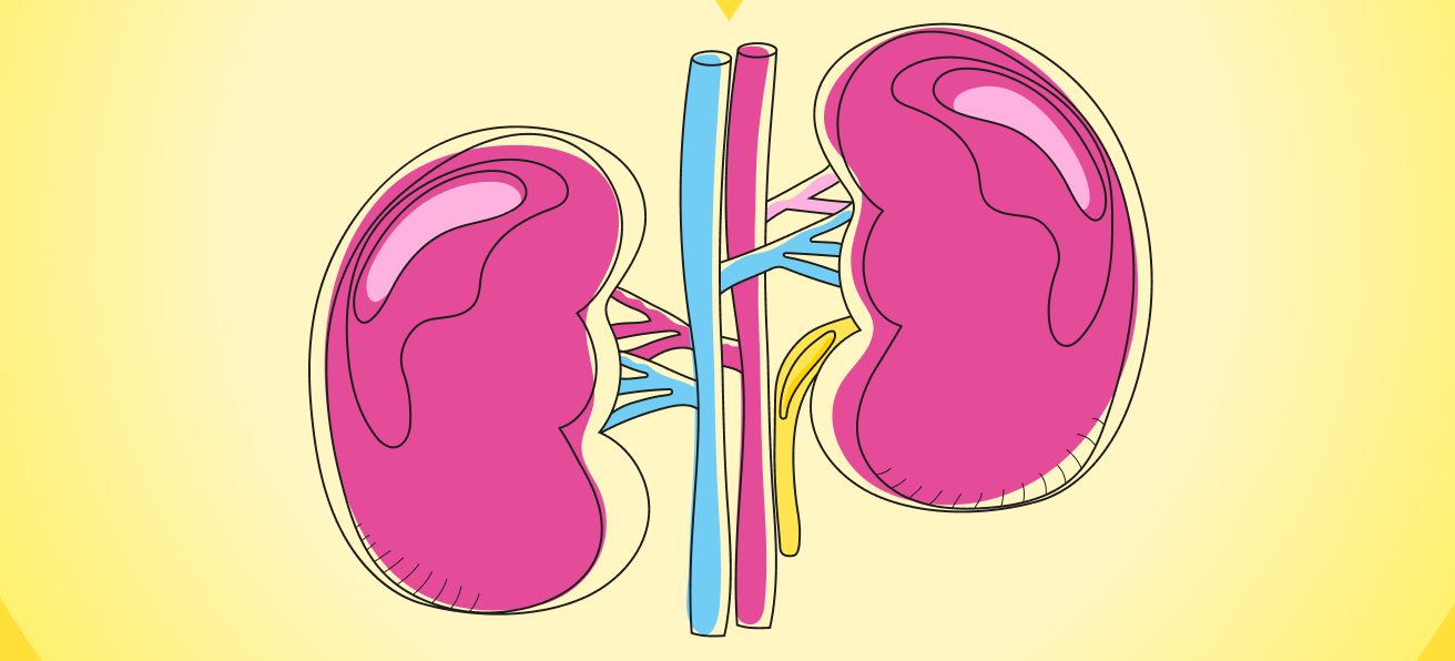 90% of adults with kidney disease don’t know that they’re affected
