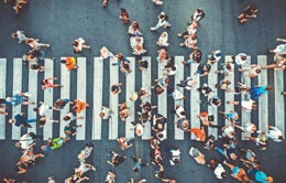 Aerial view of people crowd on pedestrian crosswalk.
