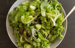 A salad with leafy greens and cucumbers
