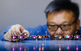 Researcher arranging tiny robots